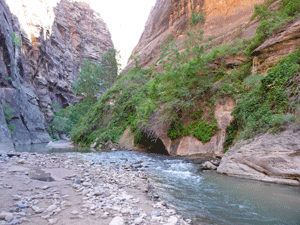 The Narrows Zion Stage 1