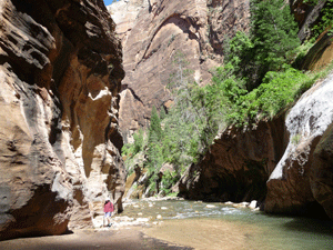 Upriver from the waterfall The Narrows Zion
