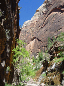 The Narrows Zion UT