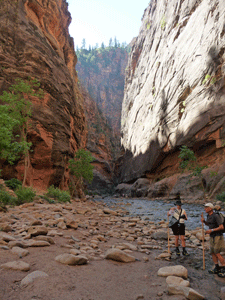 The Narrows Zion UT