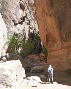 Walter Cooke The Narrows Zion