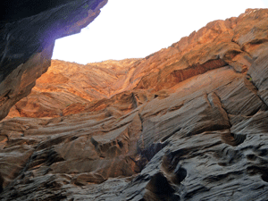 Canyon rim Wall Street The Narrows Zion