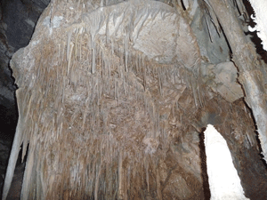 Shield looking from bottom Lehman Caves NV