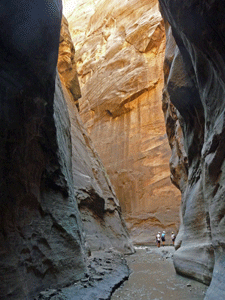 Orderville Canyon The Narrows Zion