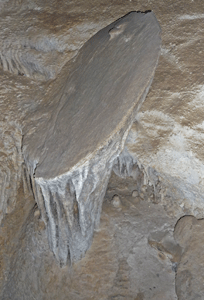 Shield from top Lehman Cave NV