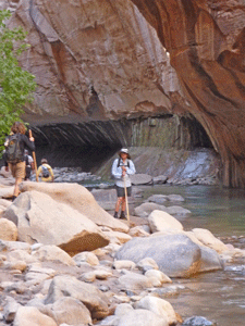 Walter Cooke The Narrows Zion