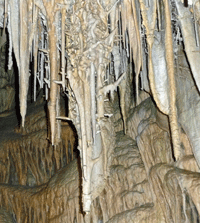 helictites Lehman Caves NV