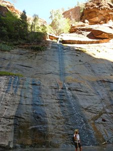 Waterfall The Narrows Zion