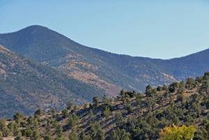 Great Basin National Park Fall Color