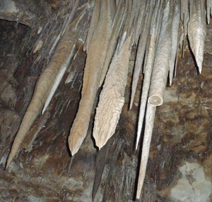 Stalactites Lehman Caves NV