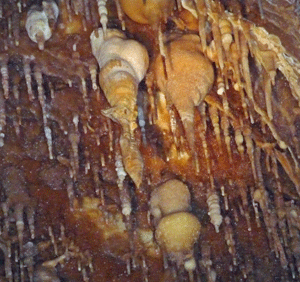 Ceiling formations Lehman Caves NV