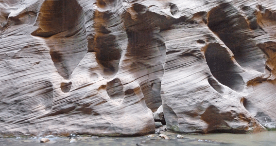 Canyon wall Wall Street The Narrows Zion