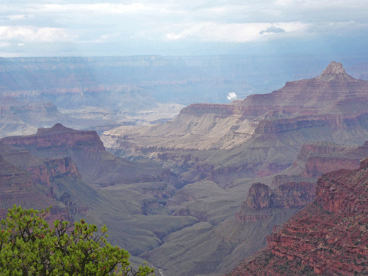 Cape Royal Trail North Rim Grand Canyon