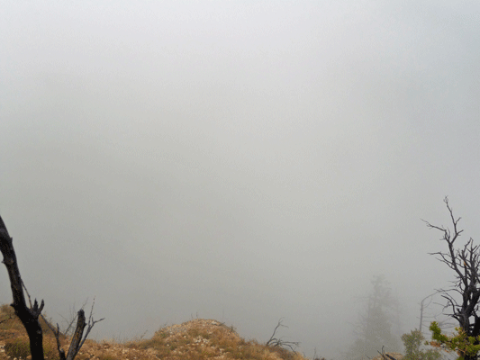 Fog and clouds at Point Imperial North Rim Grand Canyon