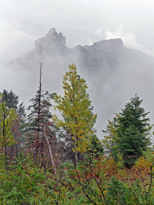 Roosevelt Point North Rim Grand Canyon