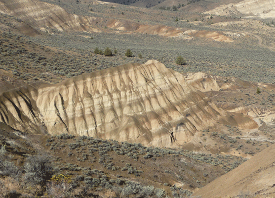 Mascall Formation John Day Fossil Beds OR