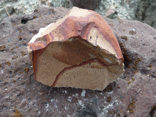 Rock sample Blue Basin John Day OR