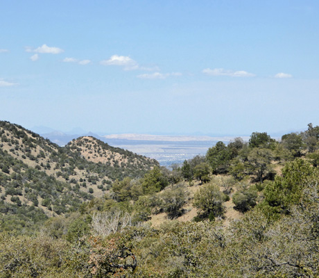 Madera Canyon view
