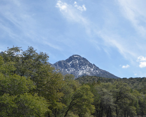 Snow Madera Canyon