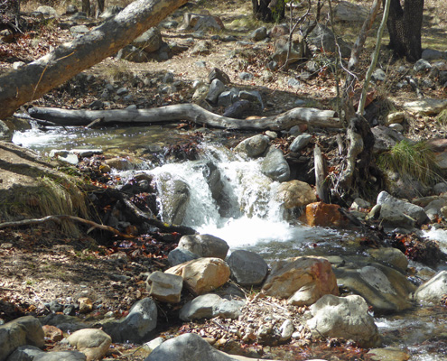 Madera Canyon cascade