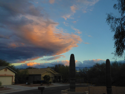 Pink tinged sunset