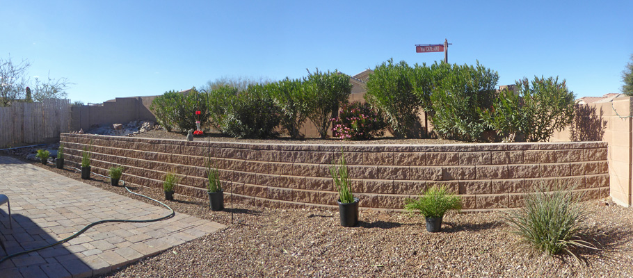 patio without oleanders