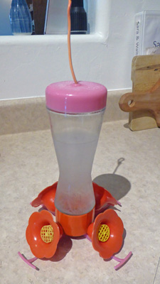 frozen hummingbird feeder