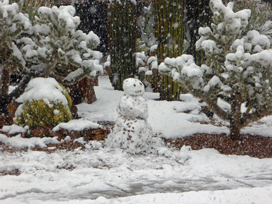 Snow Sahuarita Feb 2019