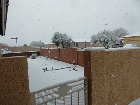 Snow Sahuarita Feb 2019