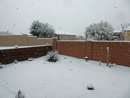 Snow Sahuarita Feb 2019