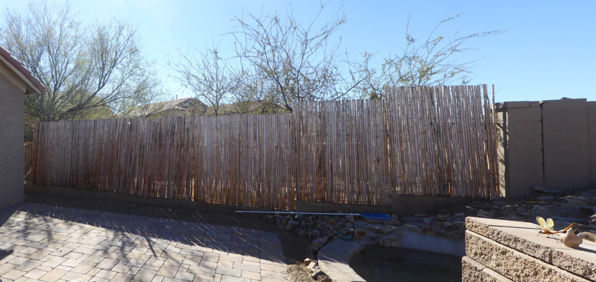 bleached bamboo fence