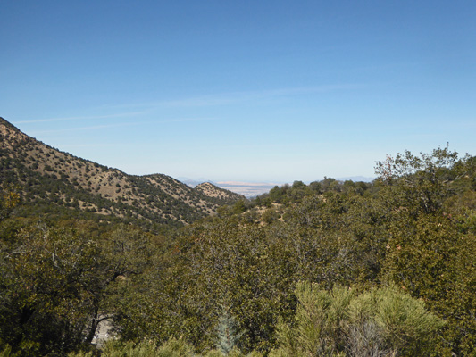 View from top of Madera Canyon
