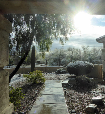 Snow front yard