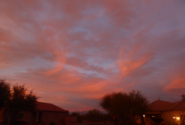 pink sunset