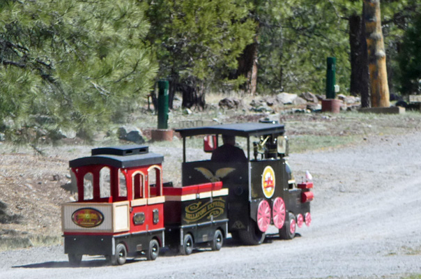 Bellatori Express The Canyon Motel Williams AZ