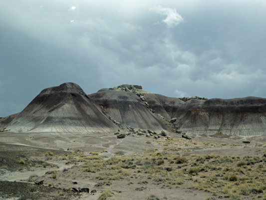 Badlands Petrified Forest National Park