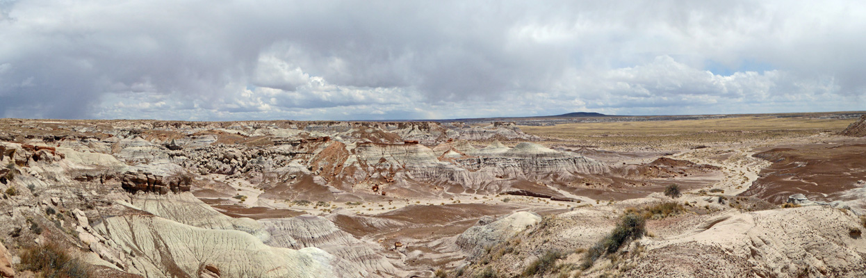 Blue Mesa Petrified Forest NP