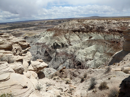 Blue Mesa Petrified Forest National Park