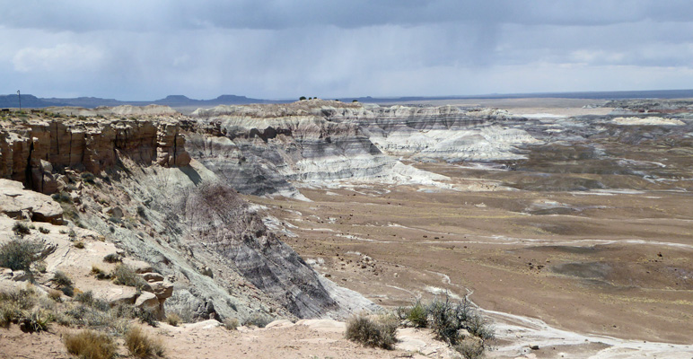 Blue Mesa Petrified Forest National Park