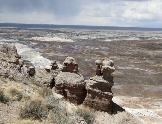 Hoo doos Blue Mesa Petrified Forest National Park