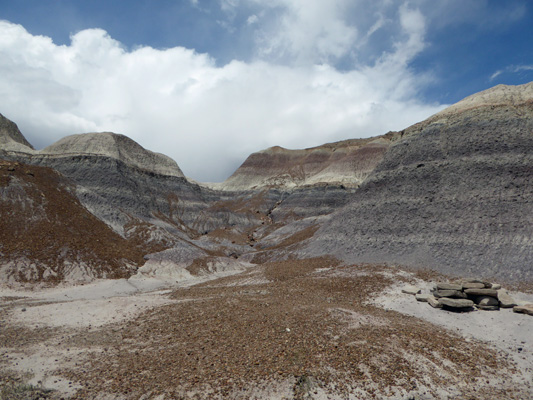 Blue Mesa Trail Petrified Forest National Park