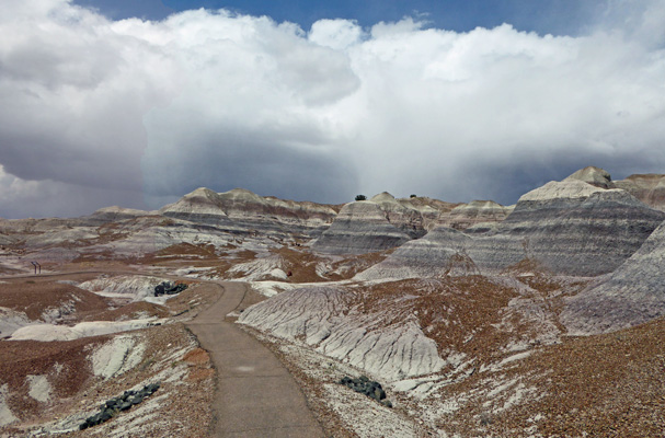 Blue Mesa Trail Petrified Forest National Park