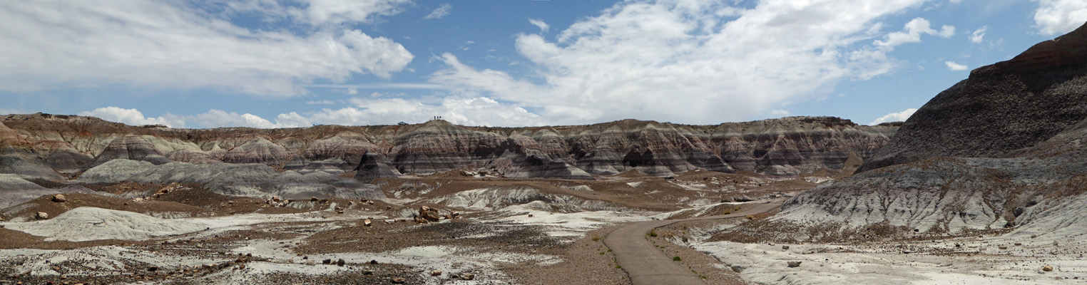 Blue Mesa Trail Petrified Forest National Park