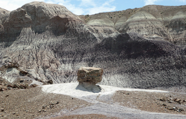 Petrified wood Blue Mesa Trail Petrified Forest National Park