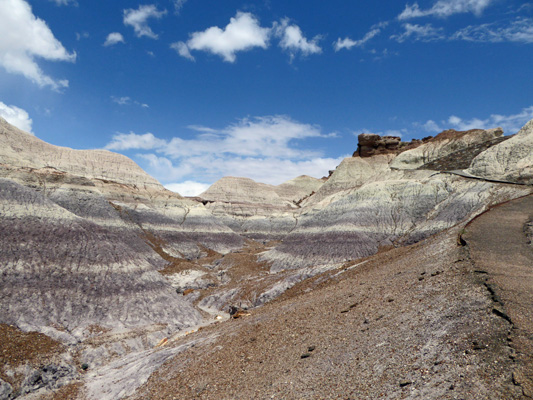 Blue Mesa Trail Petrified Forest National Park