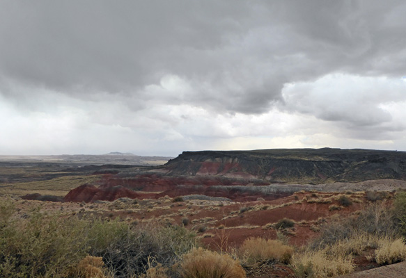Painted Desert Petrified Forest NP
