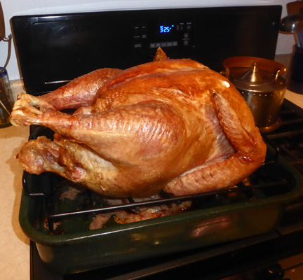 Roasted turkey