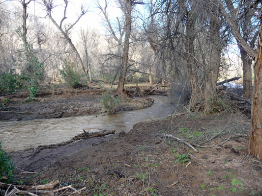 Sonoita Creek Patagonia State Park AZ