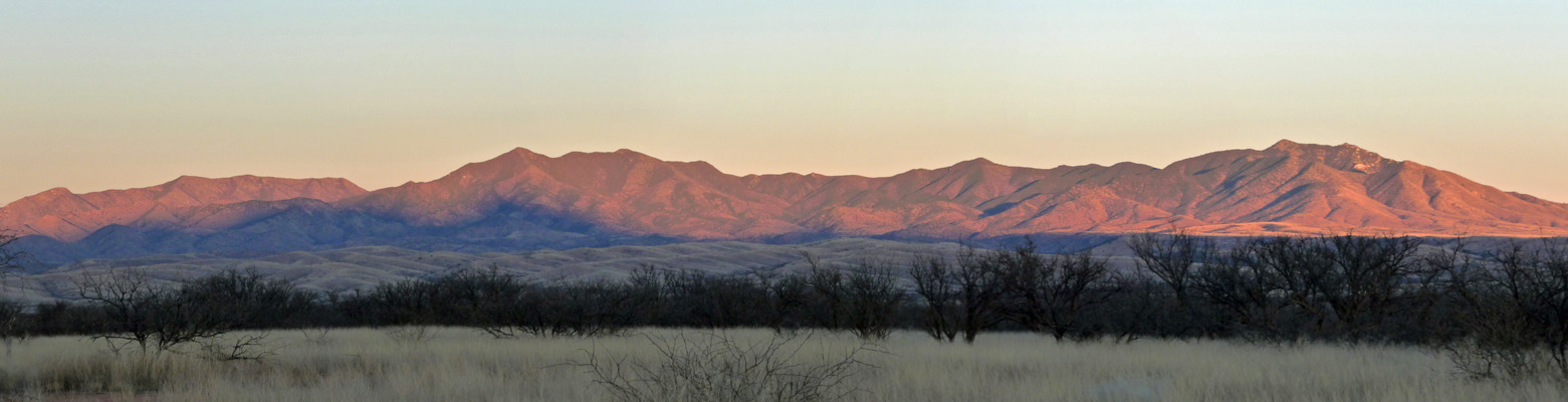 Whetstone Mountains at sunset