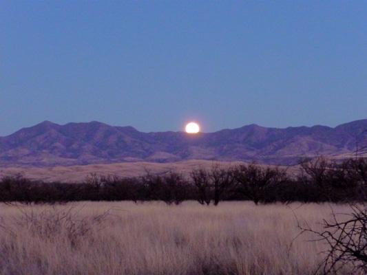 Moonrise over Whetstone Mts